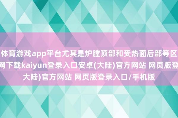 体育游戏app平台尤其是炉膛顶部和受热面后部等区域-开云app官网下载kaiyun登录入口安卓(大陆)官方网站 网页版登录入口/手机版