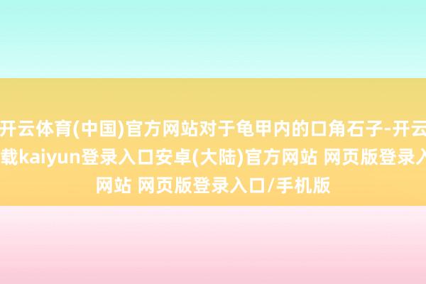 开云体育(中国)官方网站对于龟甲内的口角石子-开云app官网下载kaiyun登录入口安卓(大陆)官方网站 网页版登录入口/手机版